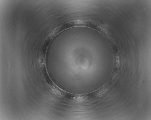 X0000060790419200511101423