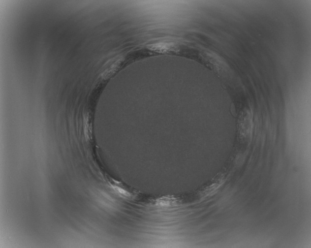 X0000060790420200511101423