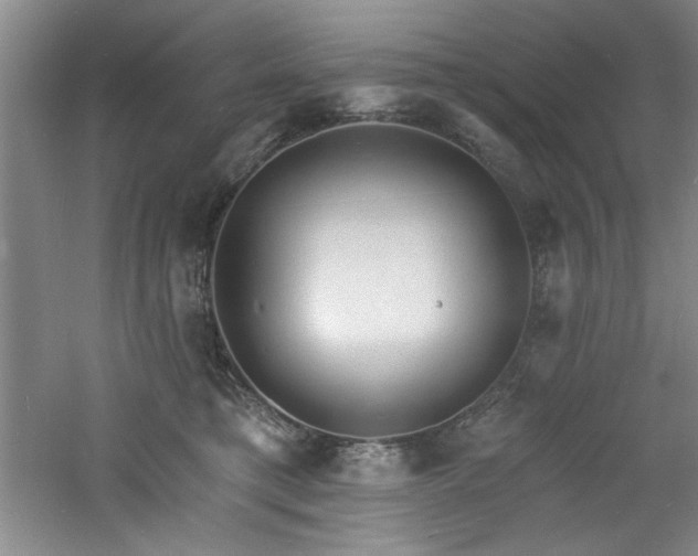 X0000060790421200511101423