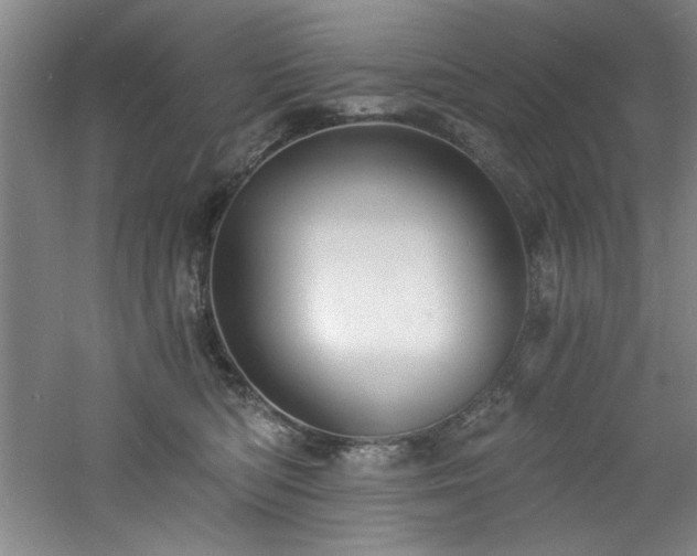 X0000060790422200511101423