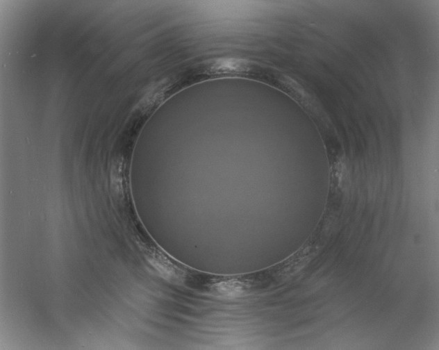 X0000060790423200511101423