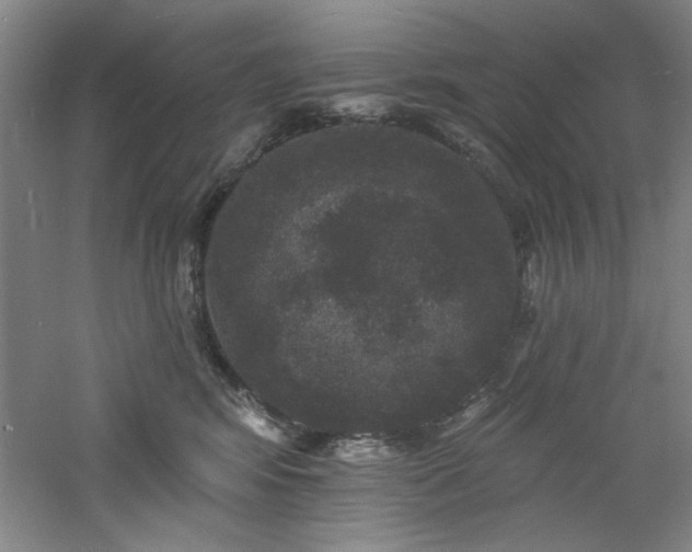 X0000060790424200511101423