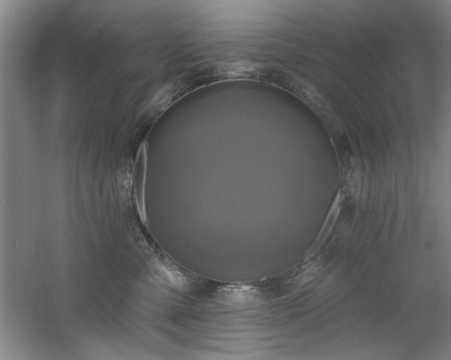 X0000060790427200511101423