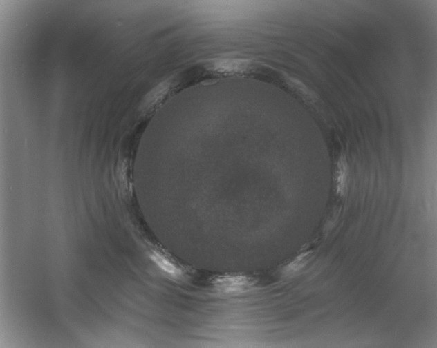 X0000060790428200511101423