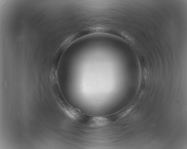 X0000060790429200511101423