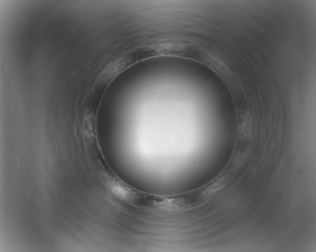 X0000060790430200511101423