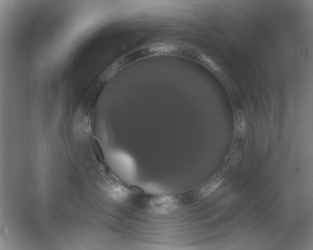 X0000060790431200511101423