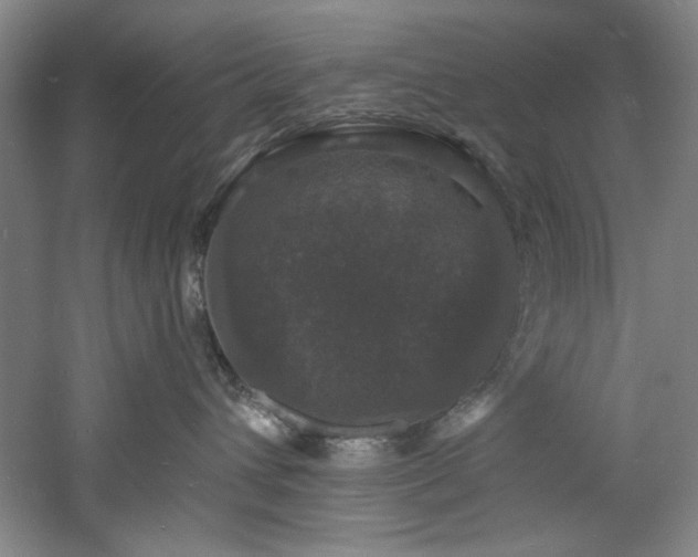 X0000060790432200511101423