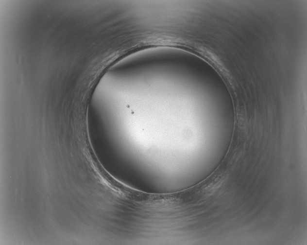 X0000060790433200511101422