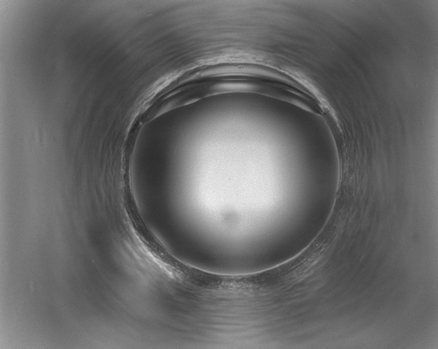 X0000060790437200511101422