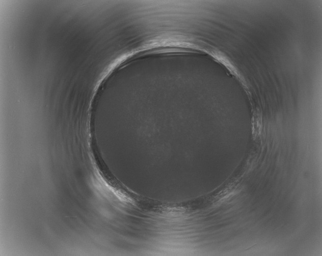 X0000060790438200511101423