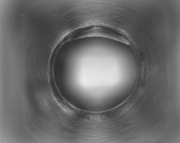 X0000060790439200511101423