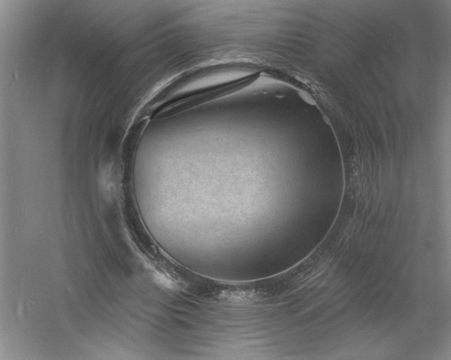 X0000060790440200511101423