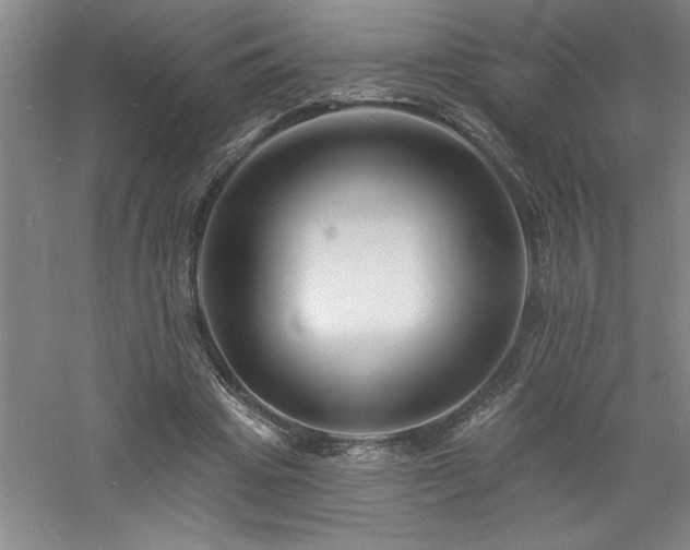 X0000060790441200511101423