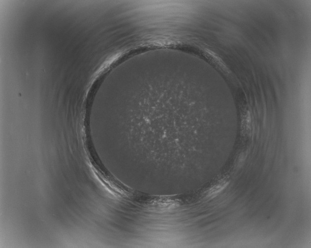 X0000060790443200511101423