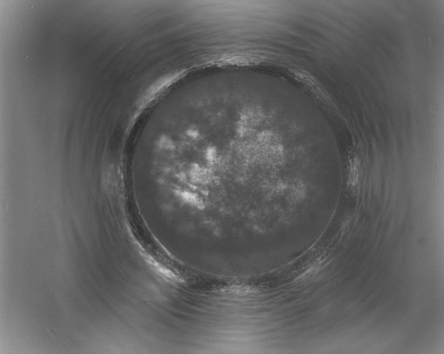 X0000060790444200511101423