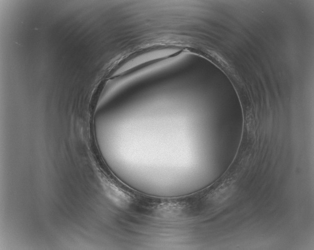 X0000060790445200511101423