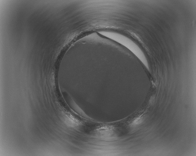 X0000060790447200511101423