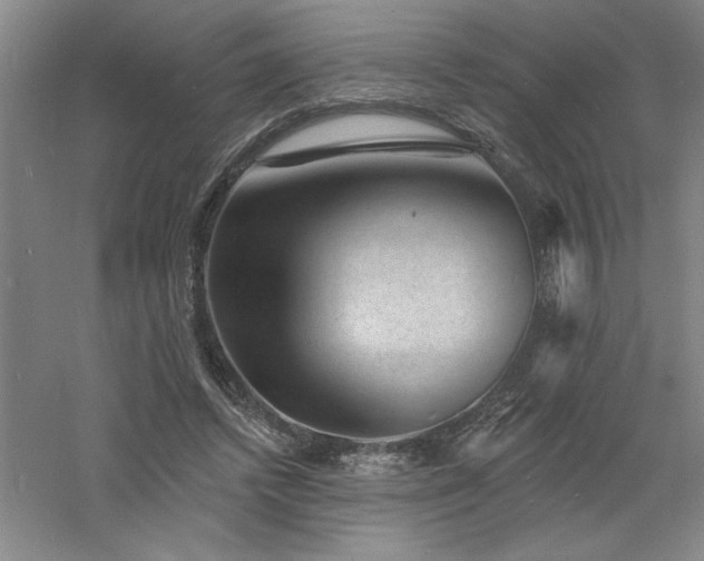 X0000060790448200511101423