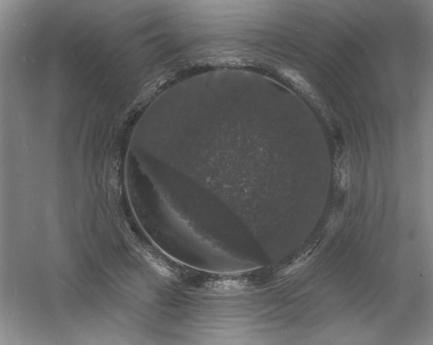 X0000060790449200511101423