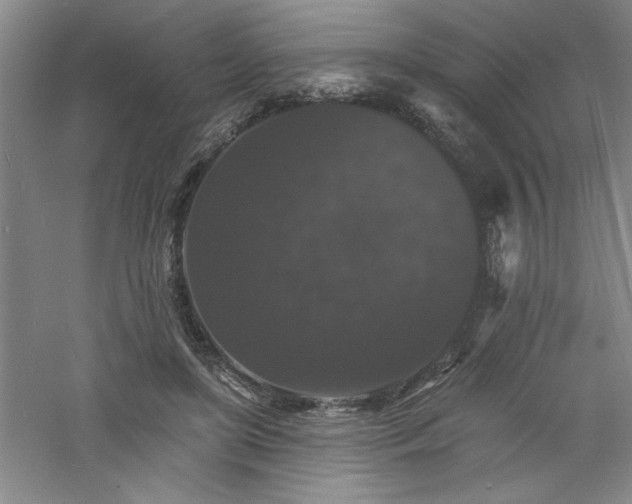 X0000060790451200511101423