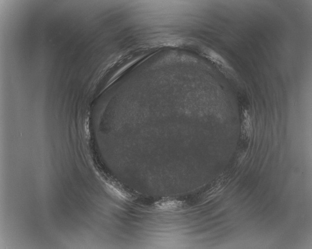 X0000060790452200511101423