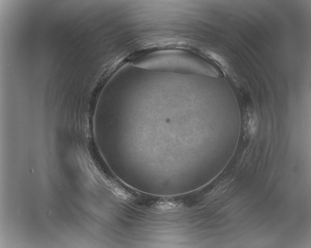 X0000060790453200511101423