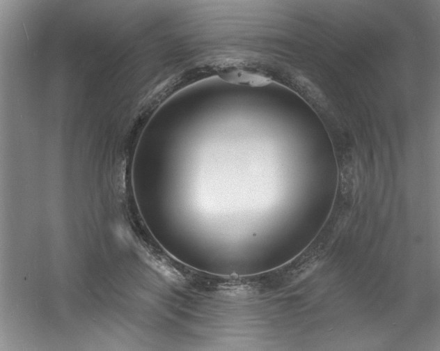 X0000060790454200511101423