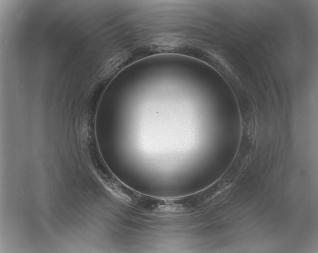 X0000060790455200511101423