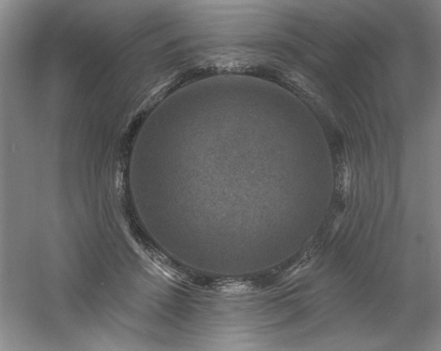 X0000060790456200511101423