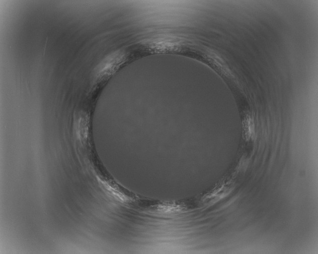 X0000060790458200511101423