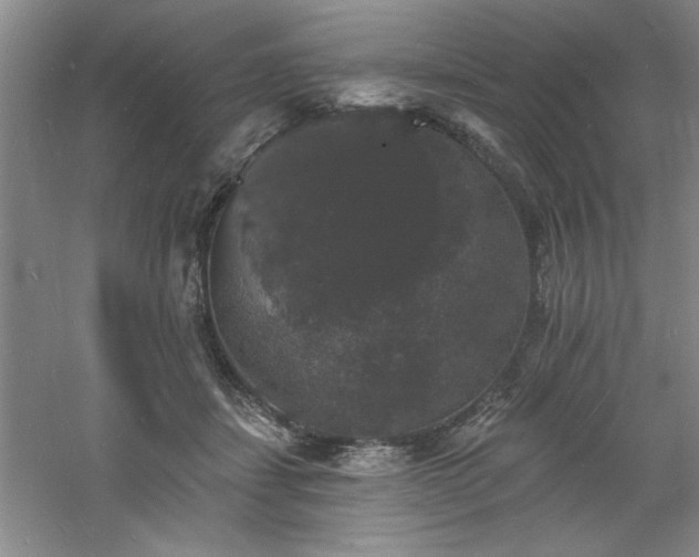 X0000060790459200511101423