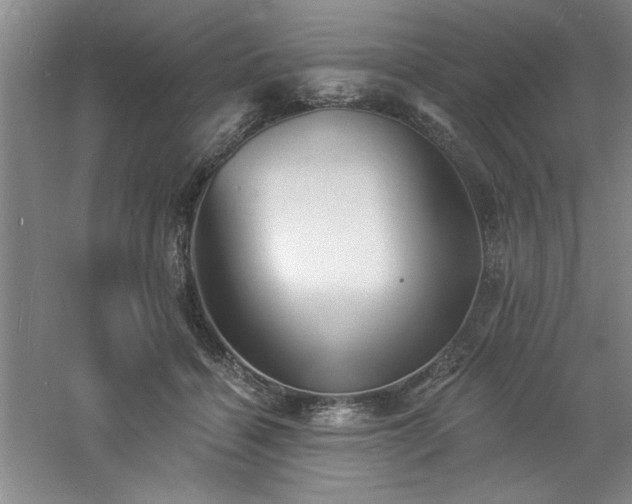 X0000060790460200511101423