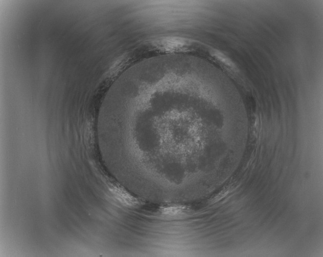 X0000060790461200511101423