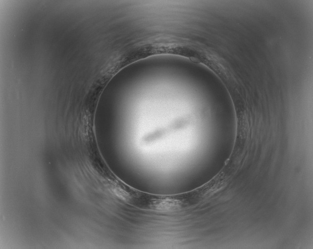 X0000060790463200511101423