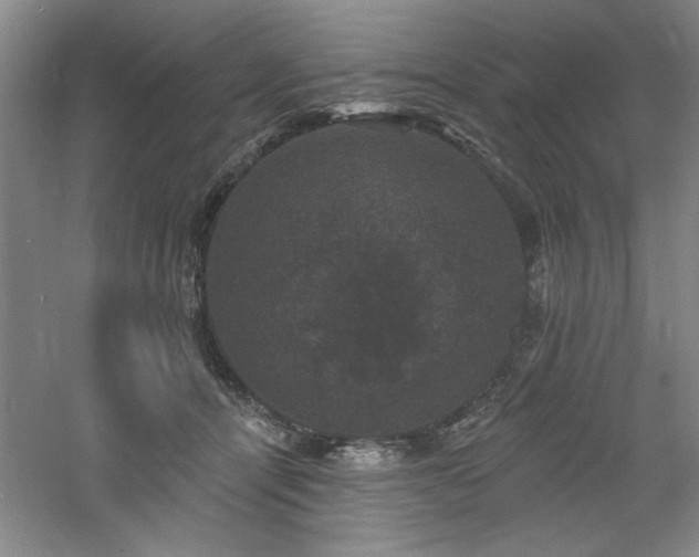 X0000060790464200511101423