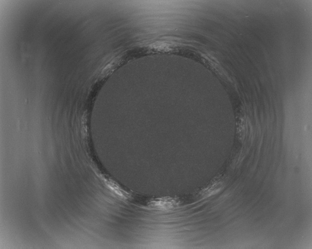 X0000060790466200511101423