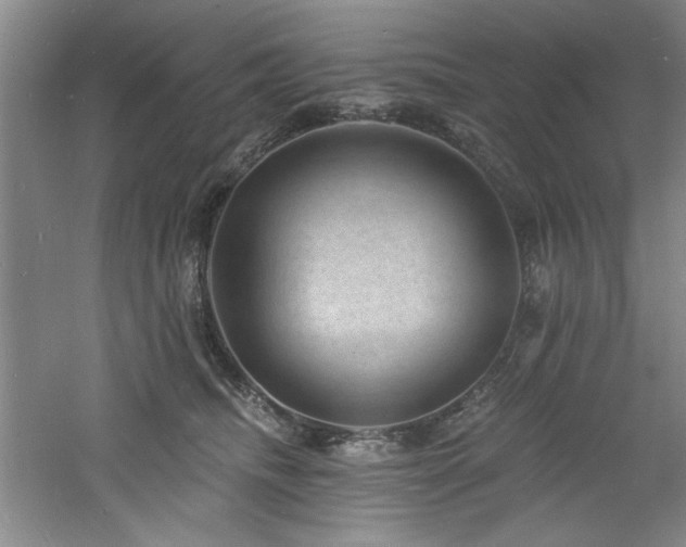 X0000060790468200511101423