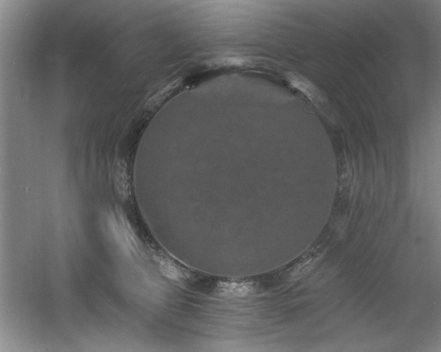 X0000060790469200511101423