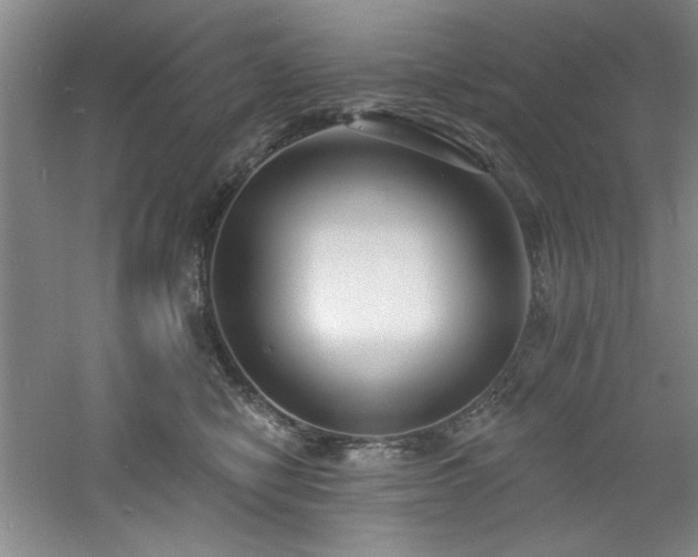 X0000060790470200511101423