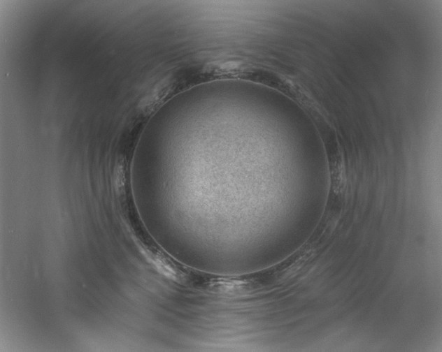 X0000060790472200511101423