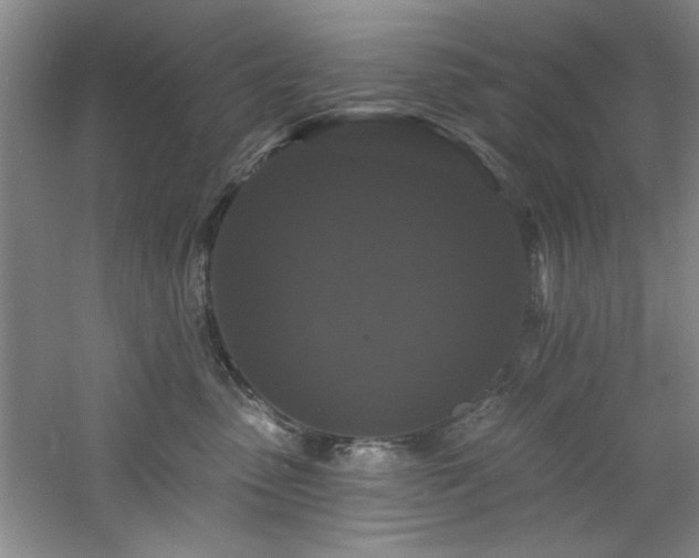 X0000060790475200511101423