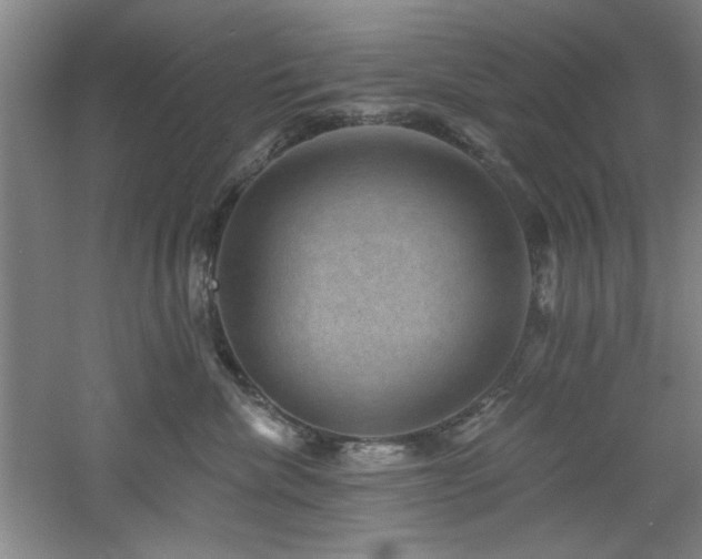 X0000060790476200511101423