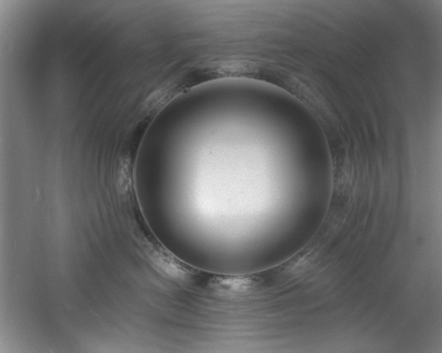 X0000060790478200511101423