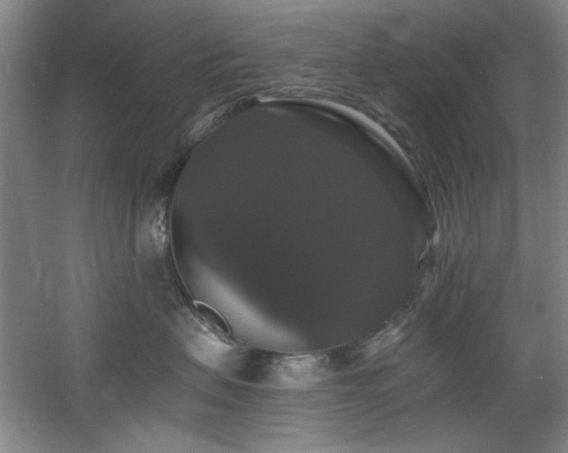 X0000060790479200511101423