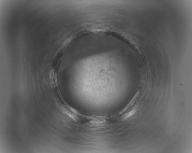 X0000060790480200511101423