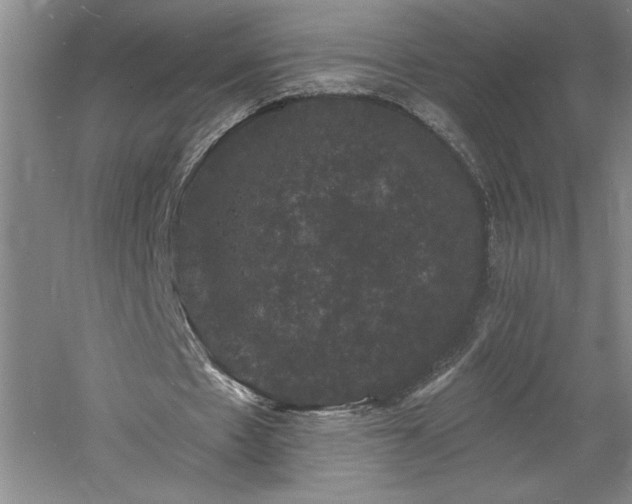 X0000060790481200511101422