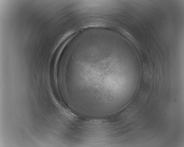 X0000060790482200511101422