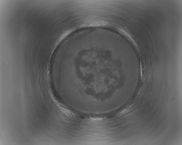 X0000060790483200511101422