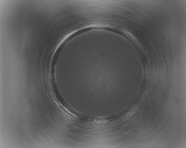 X0000060790484200511101422